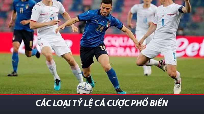 Tỷ Lệ Cá Cược - Kèo Nhà Cái Trực Tiếp Hôm Nay 2 Các loại tỷ lệ cá cược phổ biến